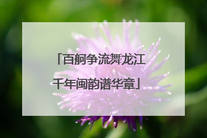 百舸争流舞龙江 千年闽韵谱华章